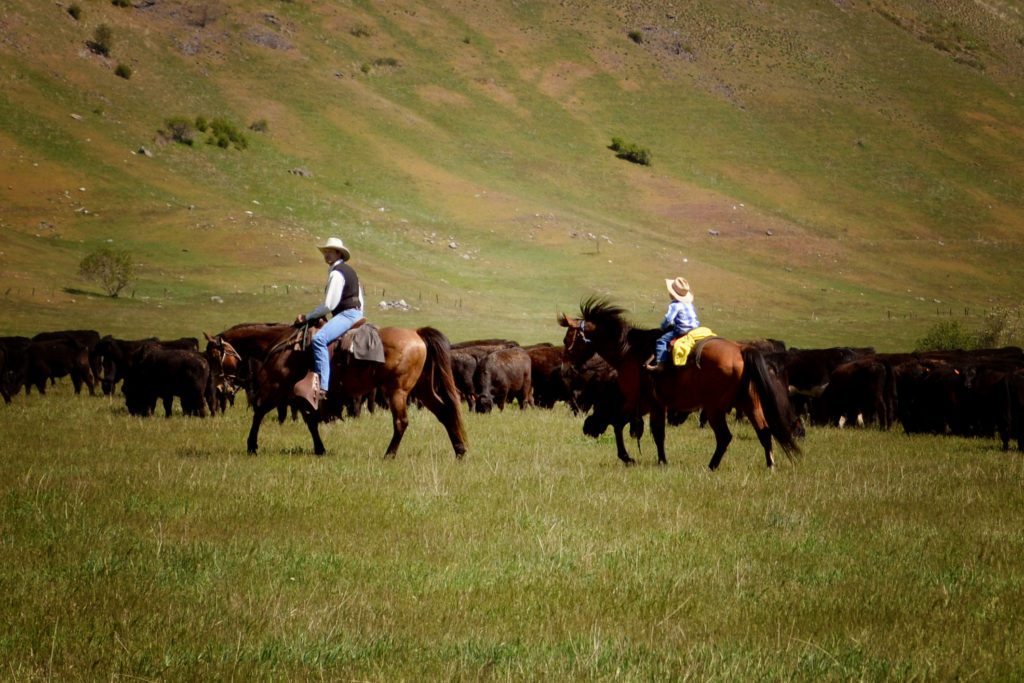 Bull Hill Guest Ranch Gallery 21
