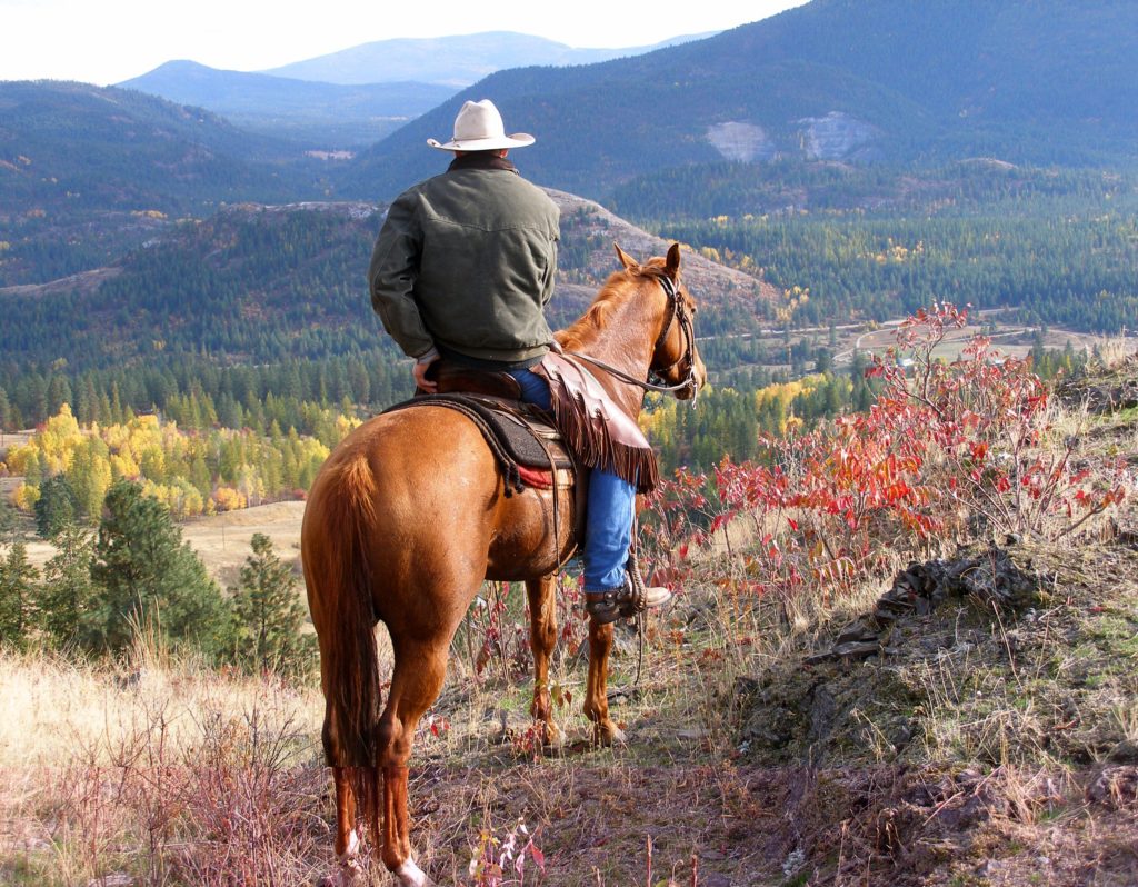 Bull Hill Guest Ranch Gallery 15