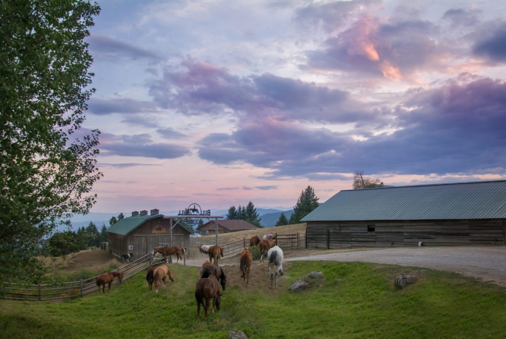 Bull Hill Guest Ranch Gallery 33