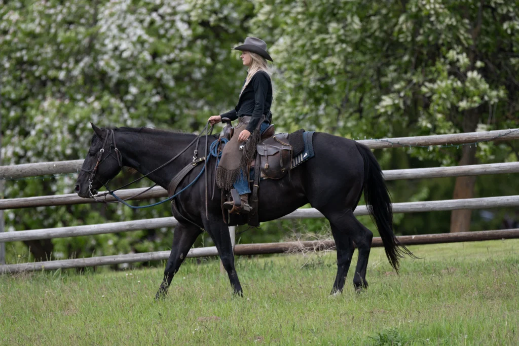Bull Hill Guest Ranch Gallery 25