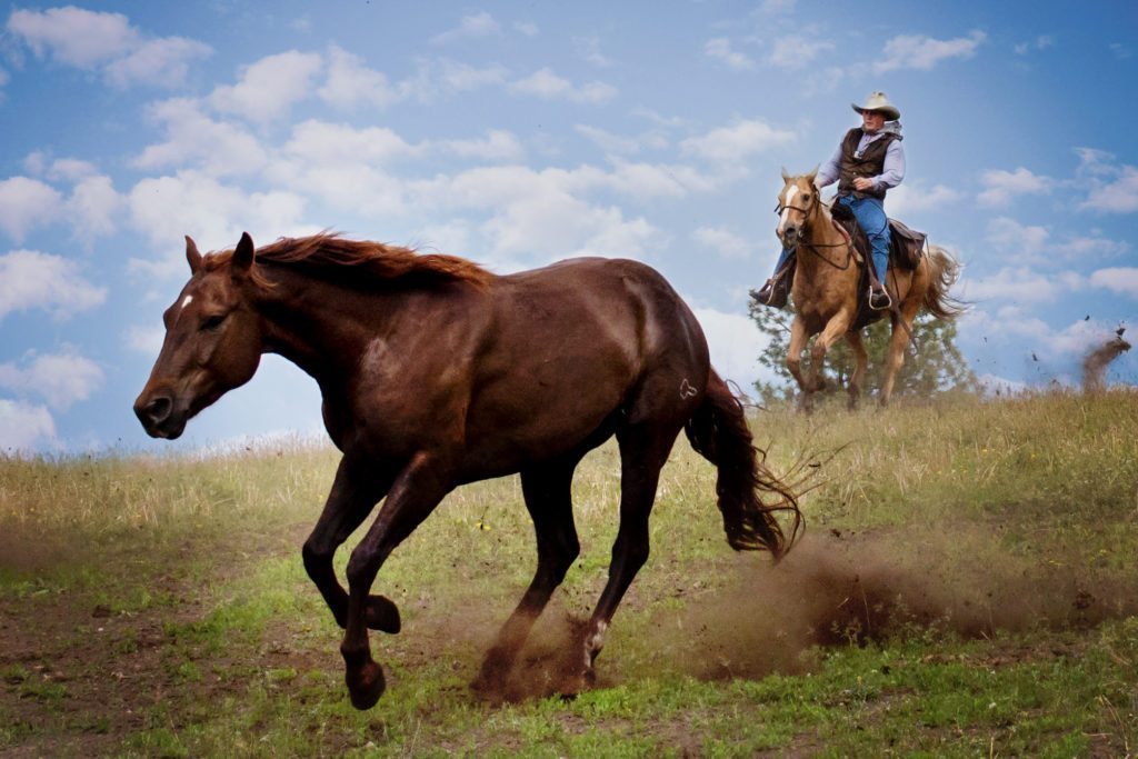 Bull Hill Guest Ranch Gallery 29